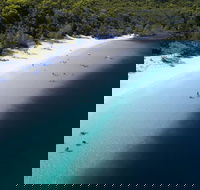 All-Inclusive Fraser Island Day Tour - Tourism Caloundra
