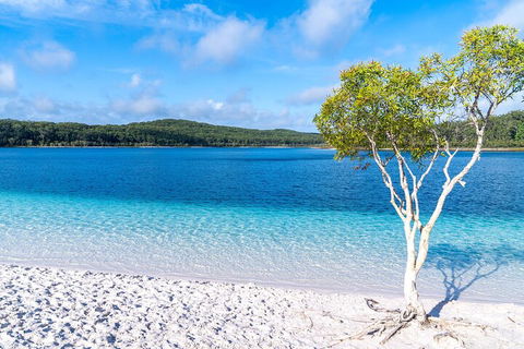Lake McKenzie Full-Day Tour With Lunch From Hervey Bay - Tourism Caloundra 1