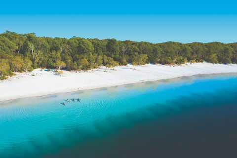 Lake McKenzie Full-Day Tour With Lunch From Hervey Bay - Tourism Caloundra 4
