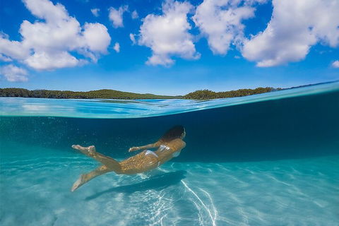 Lake McKenzie Full-Day Tour With Lunch From Hervey Bay - Tourism Caloundra 5