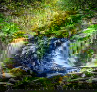 Day Tour in Mt. Field Mt. Wellington Bonorong Wildlife Sanctuary and Richmond - Tourism Caloundra