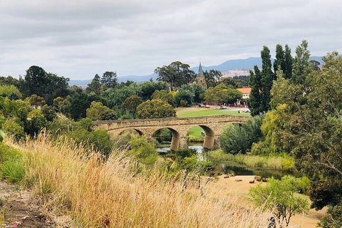 Day Tour In Mt. Field, Mt. Wellington, Bonorong Wildlife Sanctuary And Richmond - Tourism Caloundra 3