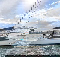 Vivid 90-Minute Sydney Harbour Catamaran Cruise with BYO Drinks - Tourism Caloundra