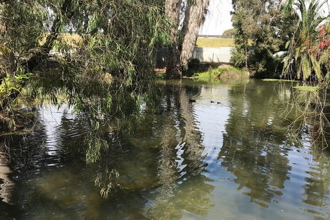 Perth East Foreshore And City Segway Tour - Tourism Caloundra 1