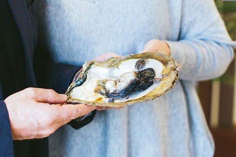 Half-Day Willie Creek Pearl Farm Tour With Helicopter Flight - Tourism Caloundra 3