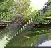 Hartley's Crocodile Adventures Breakfast with the Koalas - Tourism Caloundra