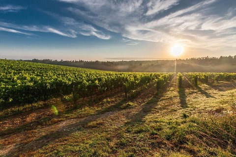 Perth To Margaret River Wine Tour - 2 Day Premium Boutique Wine Tour Experience - Tourism Caloundra 0
