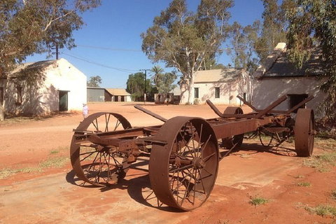 Palm Valley 4WD Day Tour - Tourism Caloundra 0