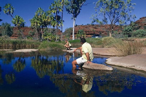 Palm Valley 4WD Day Tour - Tourism Caloundra 1