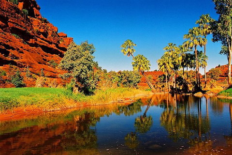 Palm Valley 4WD Day Tour - Tourism Caloundra 2