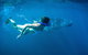 6-Day Coral Coaster From Perth To Exmouth One-Way Via Monkey Mia Ningaloo Reef - thumb 3