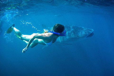 6-Day Coral Coaster From Perth To Exmouth One-Way Via Monkey Mia Ningaloo Reef - Tourism Caloundra 3