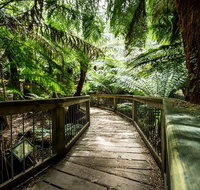 12 Apostles Eco-Friendly Great Ocean Road Iconic Adventure from Melbourne - Tourism Caloundra