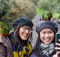 Small-Group Great Ocean Road and 12 Apostles Full-Day Tour from Melbourne - Tourism Caloundra