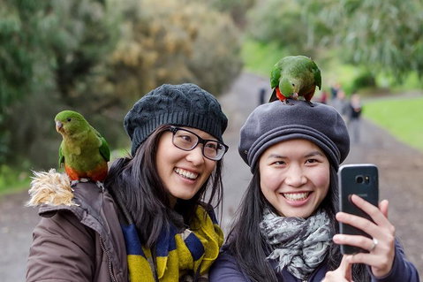Small-Group Great Ocean Road And 12 Apostles Full-Day Tour From Melbourne - Tourism Caloundra 0