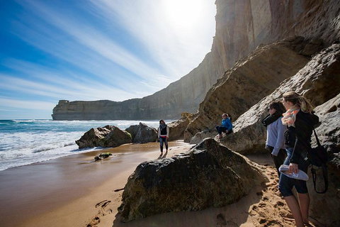 Small-Group Great Ocean Road And 12 Apostles Full-Day Tour From Melbourne - Tourism Caloundra 1