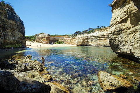 Small-Group Great Ocean Road And 12 Apostles Full-Day Tour From Melbourne - Tourism Caloundra 5