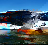 Paradise Jet Boating and Aquaduck Combo - Tourism Caloundra