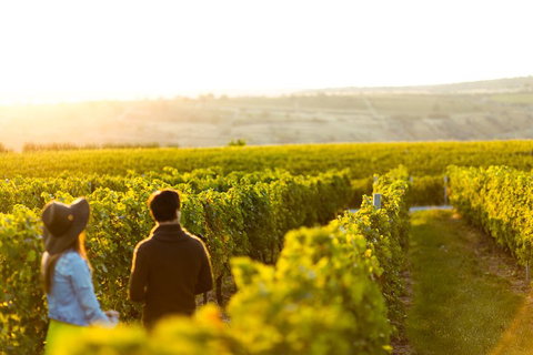 Margaret River Private Tour - Tourism Caloundra 2