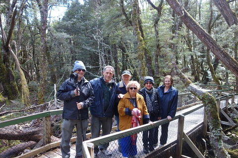 Blue Mountains Private Tour With Wildlife Park And River Cruise - Tourism Caloundra 2
