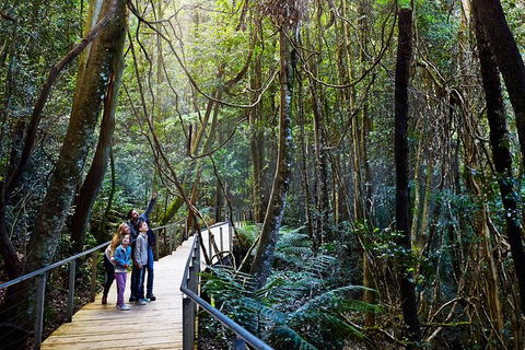 Blue Mountains Private Tour With Wildlife Park And River Cruise - Tourism Caloundra 4