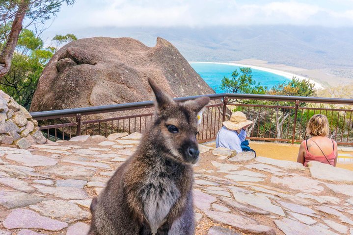 Hobart TAS Tourism Caloundra