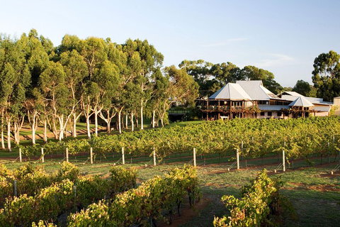 Margaret River And Geographe Bay Region Day Trip From Perth - Tourism Caloundra 1