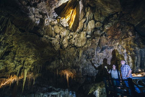 Ngilgi Cave Semi-guided Tour - Tourism Caloundra 0