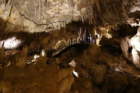 Ngilgi Cave Semi-guided Tour - Tourism Caloundra 2