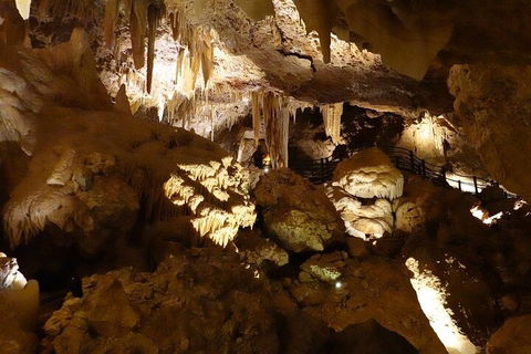 Ngilgi Cave Semi-guided Tour - Tourism Caloundra 3
