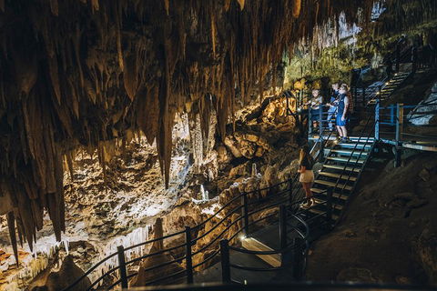 Ngilgi Cave Semi-guided Tour - Tourism Caloundra 5
