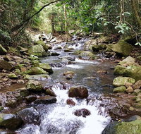 Springbrook Full Day Tour - Tourism Caloundra
