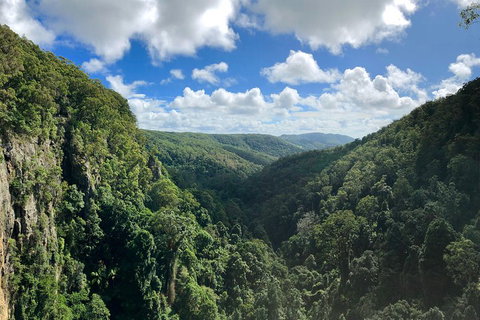 Springbrook Full Day Tour - Tourism Caloundra 1