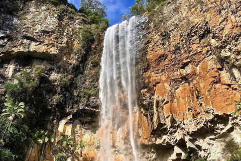 Springbrook Full Day Tour - Tourism Caloundra 2