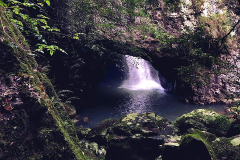 Springbrook Full Day Tour - Tourism Caloundra 3