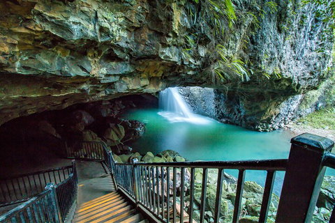 Springbrook Full Day Tour - Tourism Caloundra 4