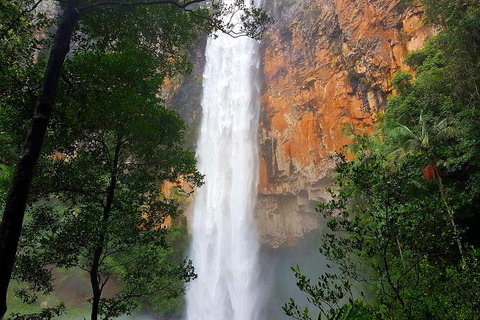 Springbrook Full Day Tour - Tourism Caloundra 5