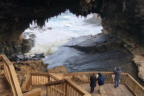 Kangaroo Island 4WD Tour - Best Of KI - Tourism Caloundra 1