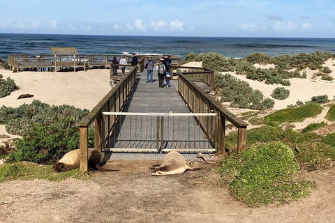 Kangaroo Island 4WD Tour - Best Of KI - Tourism Caloundra 2