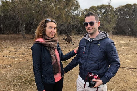 Kangaroo Island 4WD Tour - Best Of KI - Tourism Caloundra 3