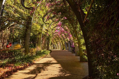 Brisbane Scavenger Hunt: Brisbane's South Bank! - Tourism Caloundra 3