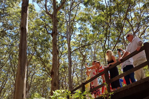 The All About Margaret River Tour: Wine, Coffee, Lunch And Forest - Tourism Caloundra 3