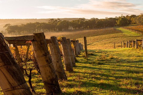 The All About Margaret River Tour: Wine, Coffee, Lunch And Forest - Tourism Caloundra 5