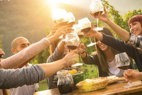 Yarra Valley, Dandenong Ranges Inc. Lunch With Wine,plus Morning Tea,chocolate - Tourism Caloundra 4