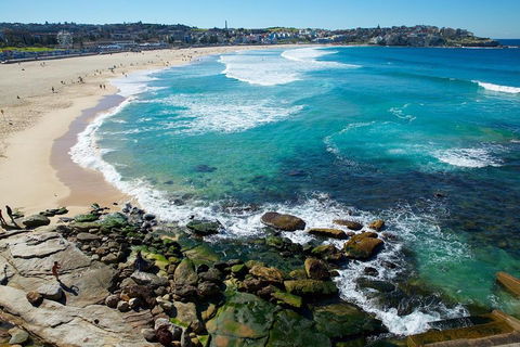 Private Sydney Foreshores And Beaches SUV Tour - Tourism Caloundra 0