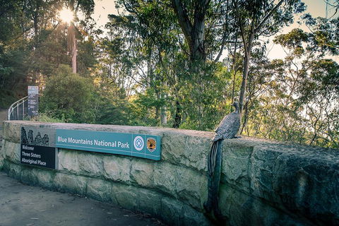 Ultimate Blue Mountains Waterfalls, Walks & Sunset PRIVATE Tour - Tourism Caloundra 3