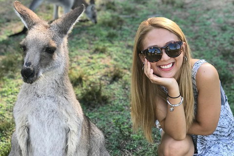 PJ Blue Mountains Supreme Day Tour - Tourism Caloundra 2