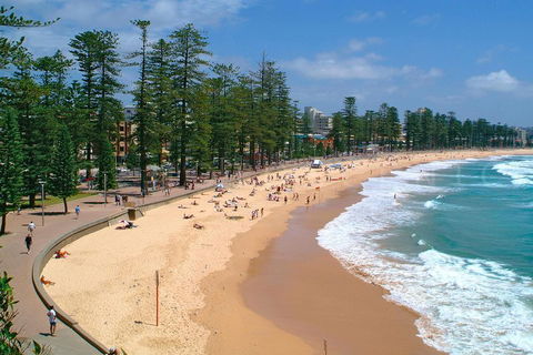 Private Sydney Full Day Tour Including Sydney Opera House, Bondi And Manly - Tourism Caloundra 3