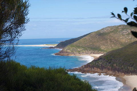 Private Port Stephens Day Trip From Sydney Including Dolphin Cruise - Tourism Caloundra 0