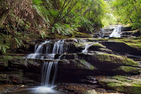 Private All Blue Mountains Day Tour - Tourism Caloundra 1